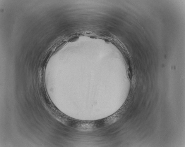 X0000082760163200702240113