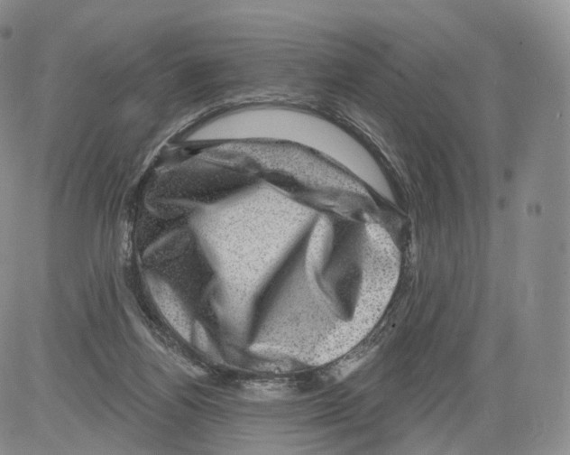 X0000082760164200702240113