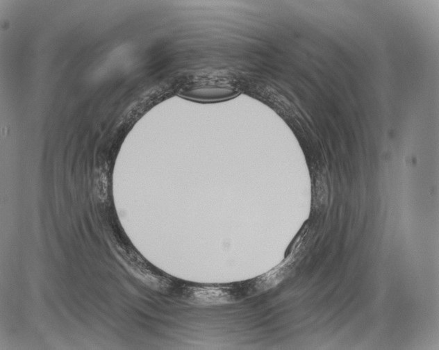 X0000082760183200702240114