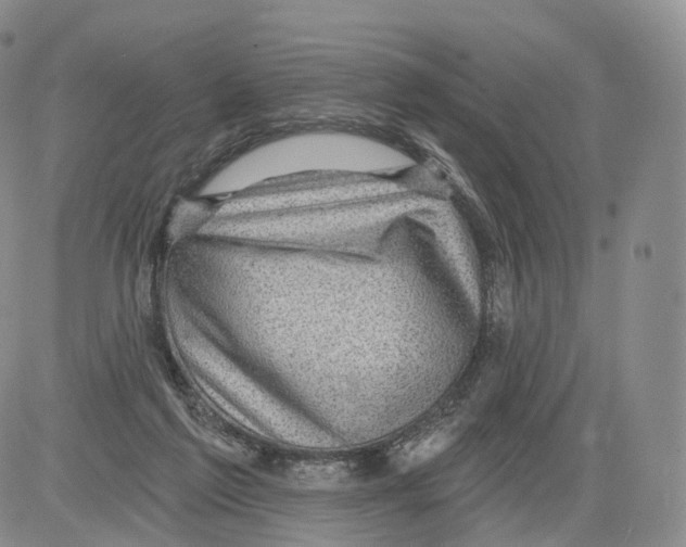 X0000082760213200702240113