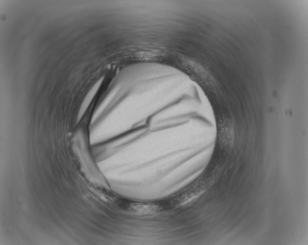 X0000082760221200702240113