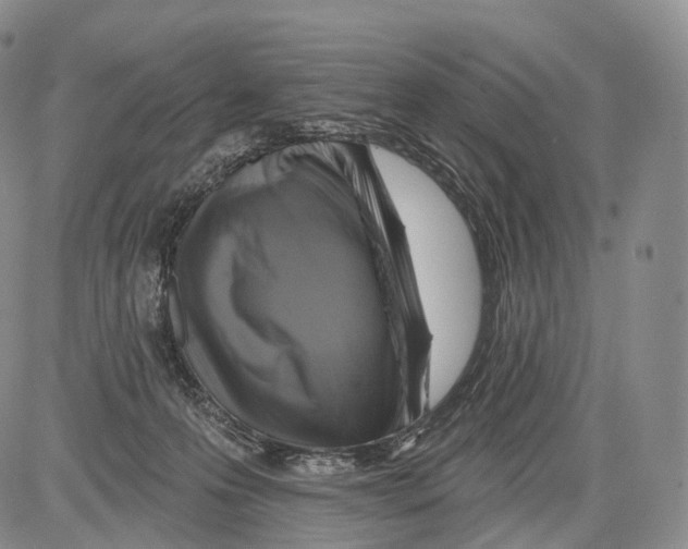 X0000082760223200702240113