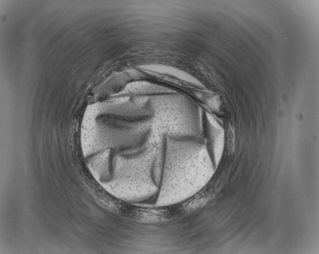 X0000082760229200702240113