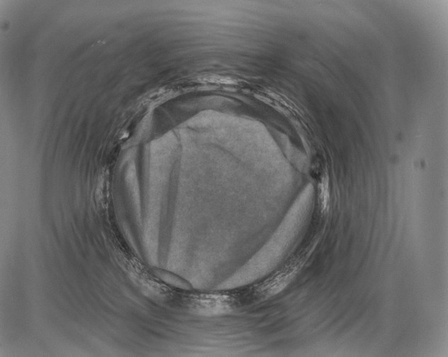 X0000082760233200702240112