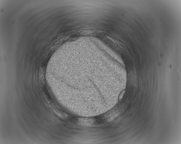 X0000082760234200702240112