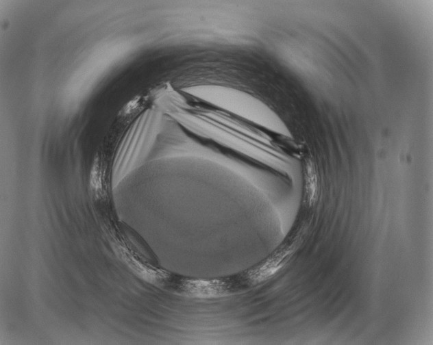 X0000082760239200702240112