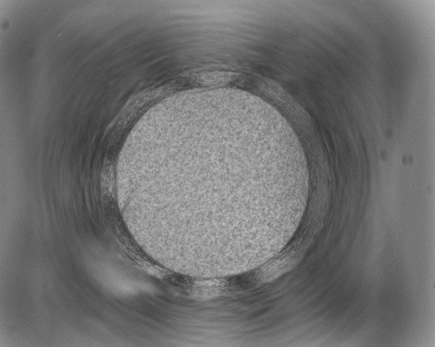 X0000082760240200702240112