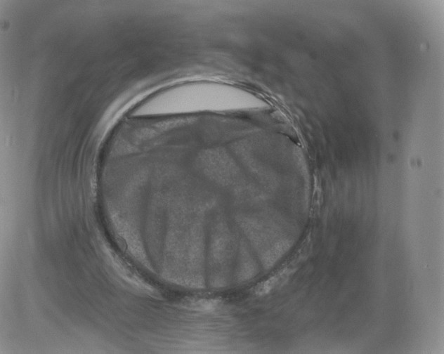 X0000082760247200702240112