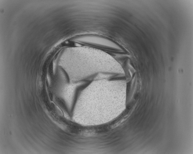 X0000082760252200702240112