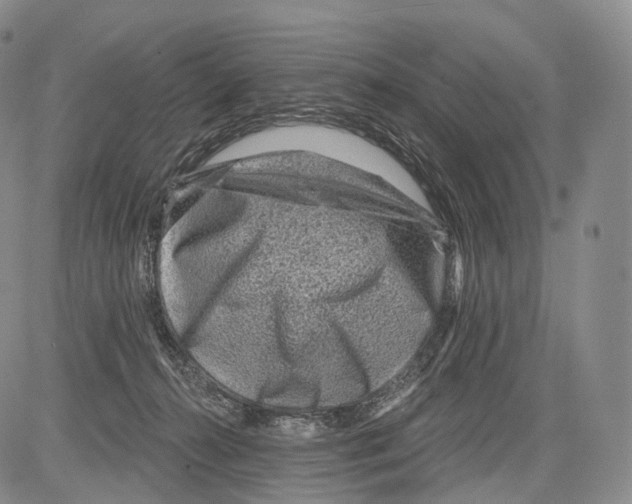 X0000082760272200702240112