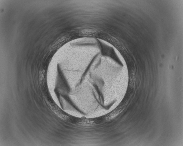 X0000082760278200702240112