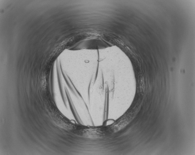 X0000082760320200702240111