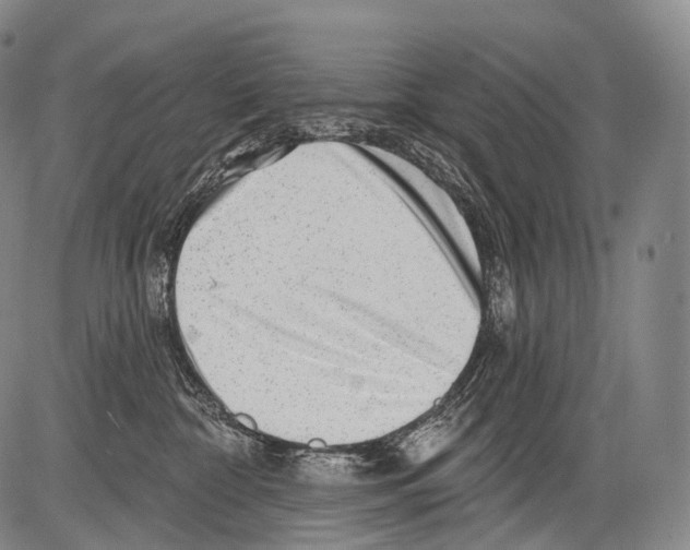 X0000082760332200702240111