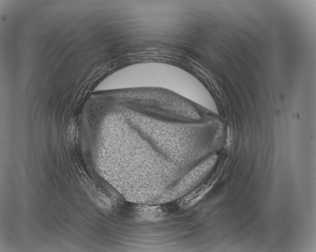 X0000082760333200702240111