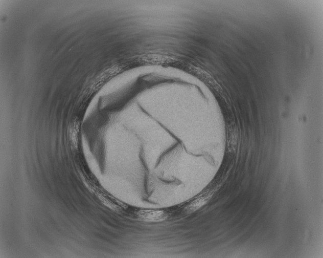 X0000082760334200702240111