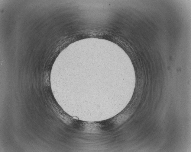 X0000082760336200702240111