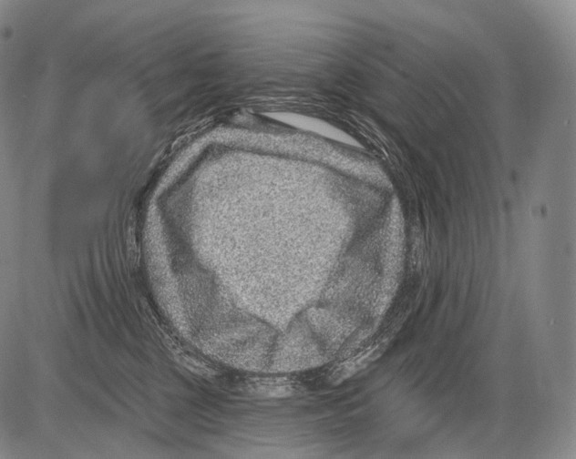 X0000082760377200702240111