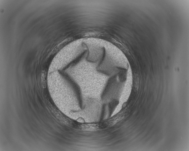 X0000082760378200702240111