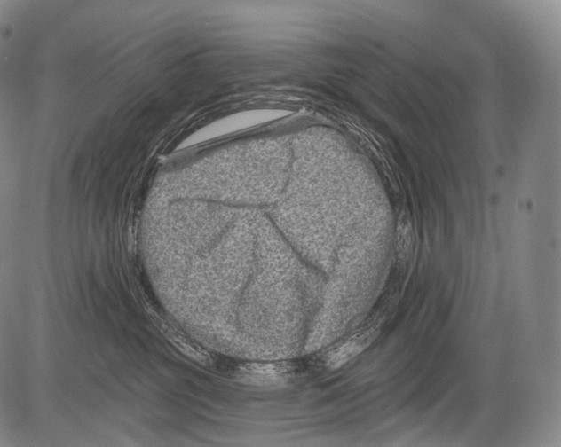 X0000082760381200702240111