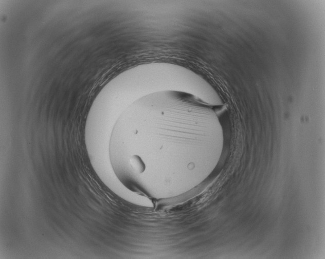 X0000082760384200702240111