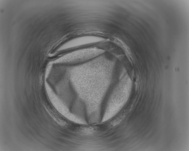 X0000082760405200702240110