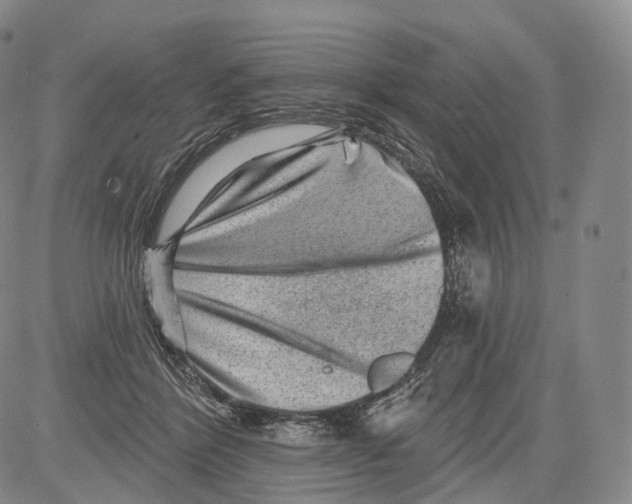 X0000082760412200702240110