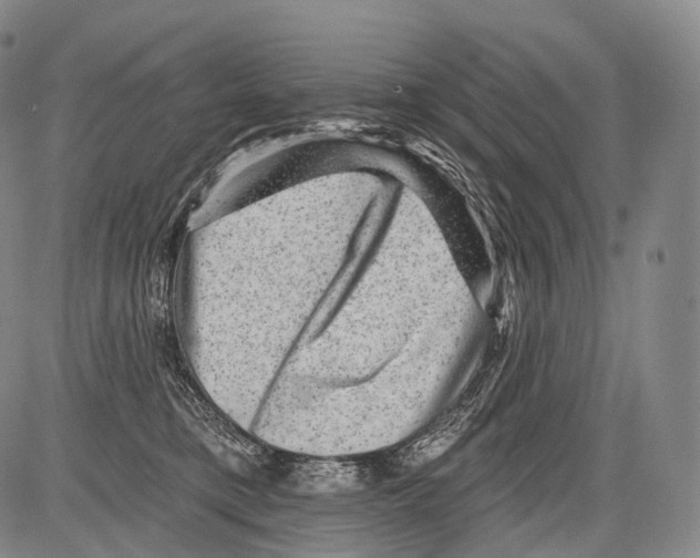 X0000082760421200702240109