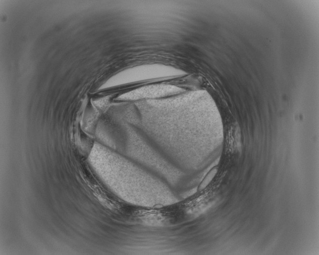 X0000082760424200702240109