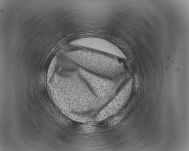 X0000082760425200702240109
