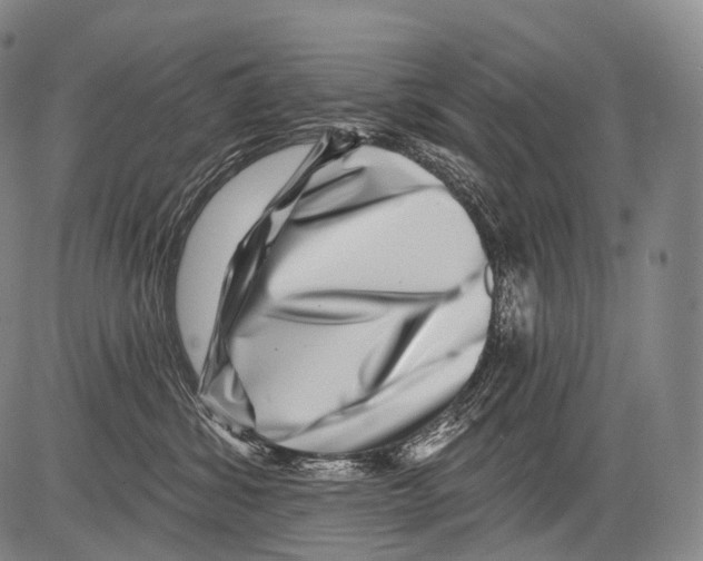 X0000082760428200702240109