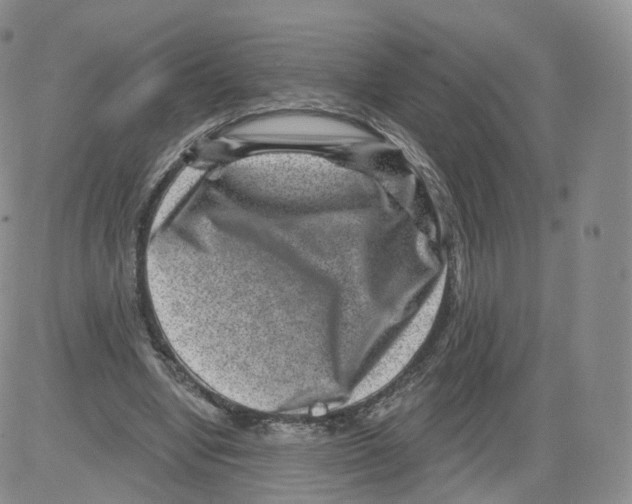 X0000082760442200702240109