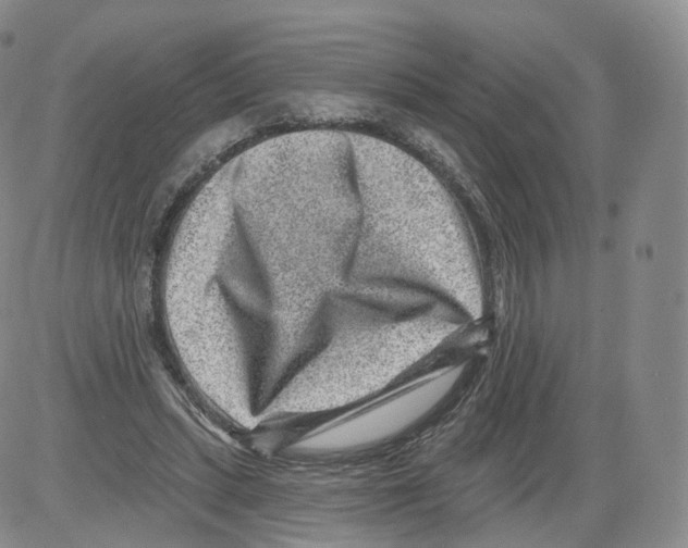 X0000082760447200702240109