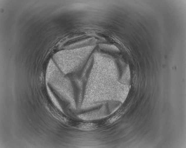 X0000082760459200702240109