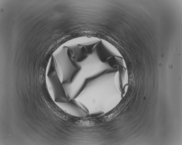 X0000082760464200702240109