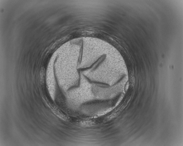 X0000082760468200702240109