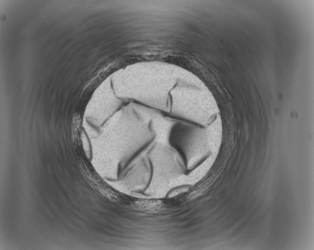 X0000082760480200702240109