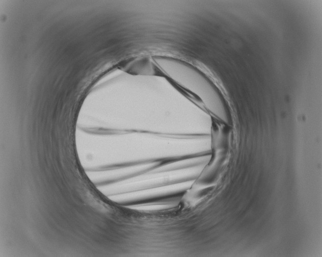 X0000082760481200702240108