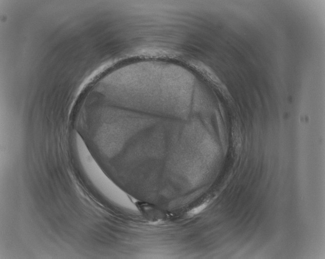 X0000082760488200702240108
