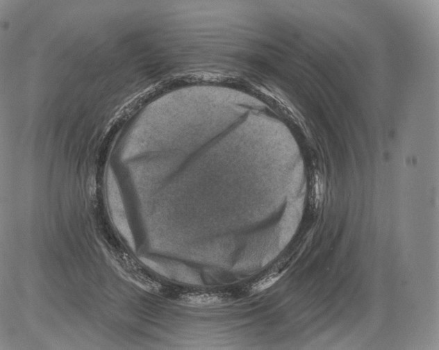 X0000082760500200702240108