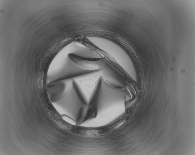 X0000082760501200702240108