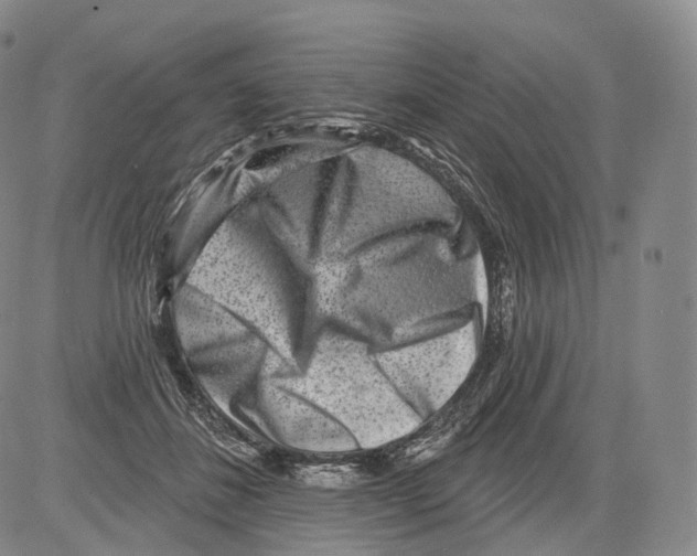 X0000082760508200702240108