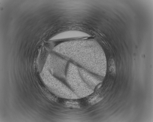 X0000082760515200702240108