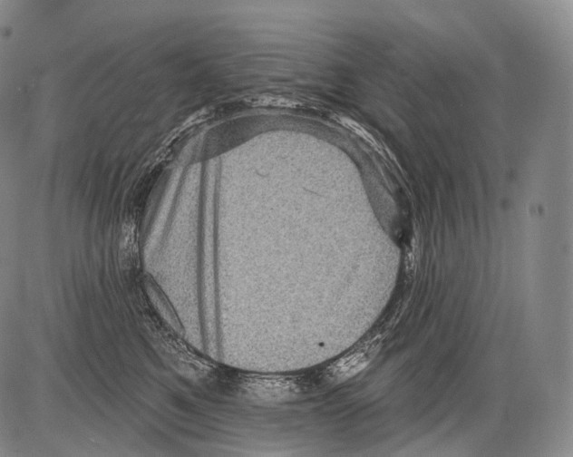 X0000082760521200702240108