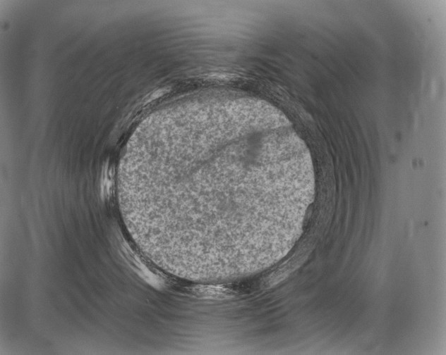 X0000082760528200702240108