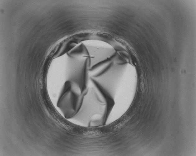 X0000082760536200702240107