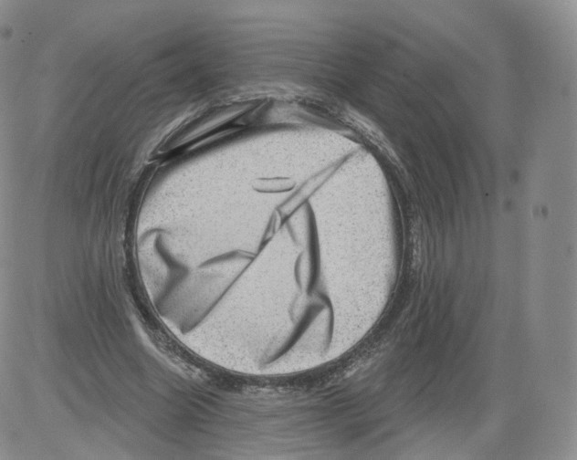 X0000082760538200702240107