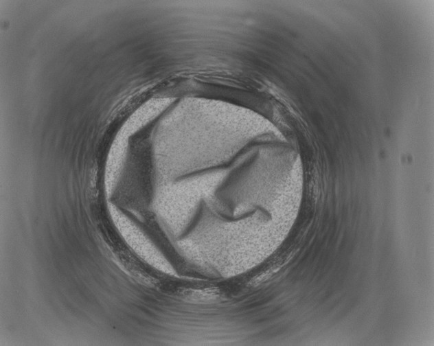 X0000082760548200702240107