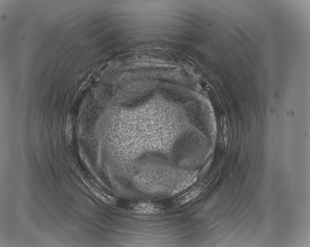 X0000082760562200702240107