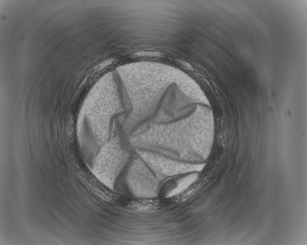 X0000082760563200702240107