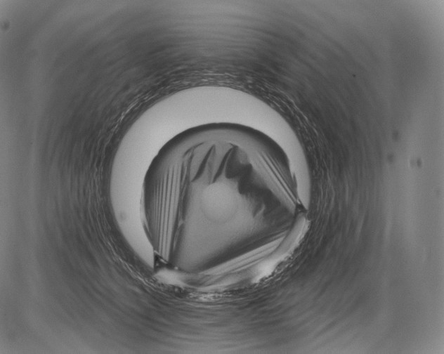 X0000082760564200702240107
